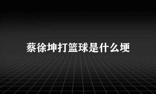 蔡徐坤打篮球是什么埂