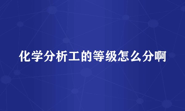 化学分析工的等级怎么分啊