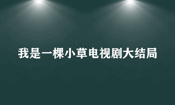 我是一棵小草电视剧大结局