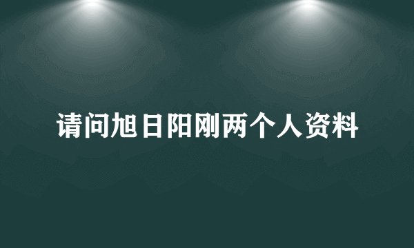 请问旭日阳刚两个人资料