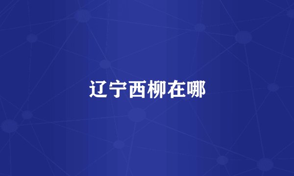 辽宁西柳在哪