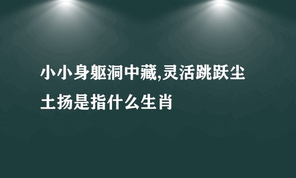 小小身躯洞中藏,灵活跳跃尘土扬是指什么生肖