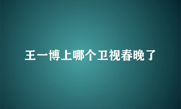 王一博上哪个卫视春晚了