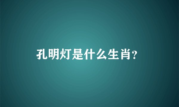 孔明灯是什么生肖？
