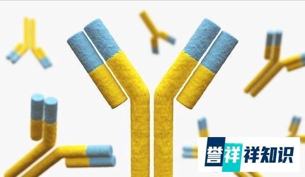 国产新冠特效药即将上市：Ⅲ期临床试验成功，高危者保护率达100%