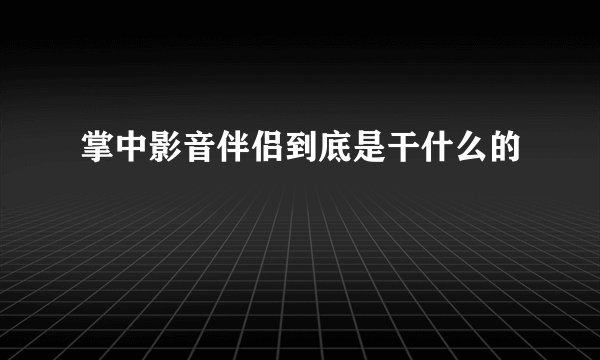 掌中影音伴侣到底是干什么的