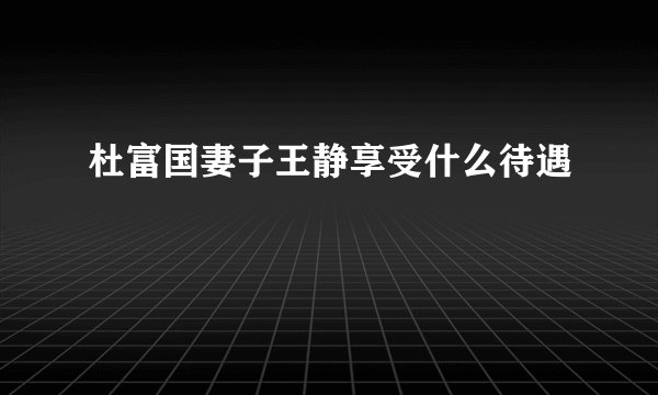 杜富国妻子王静享受什么待遇