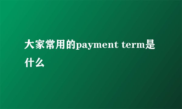 大家常用的payment term是什么