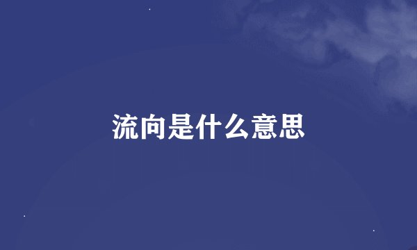 流向是什么意思
