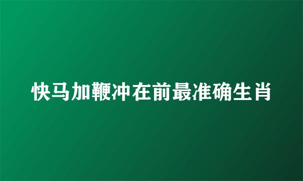 快马加鞭冲在前最准确生肖