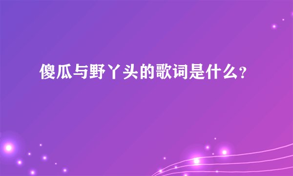 傻瓜与野丫头的歌词是什么？