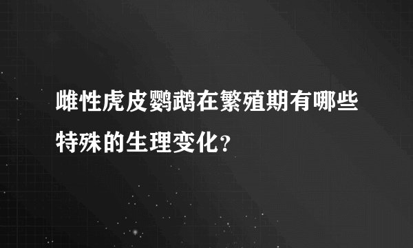 雌性虎皮鹦鹉在繁殖期有哪些特殊的生理变化？