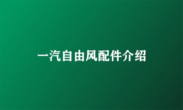 一汽自由风配件介绍