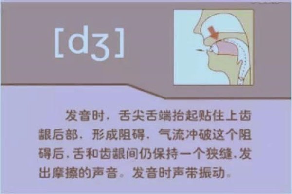 “清音比较清脆，浊音比较浊浊”是真的吗？