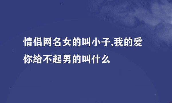 情侣网名女的叫小子,我的爱你给不起男的叫什么
