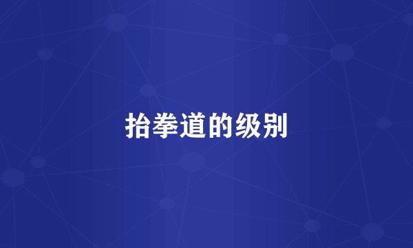 抬拳道的级别