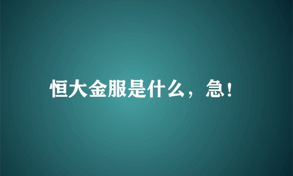 恒大金服是什么,急!