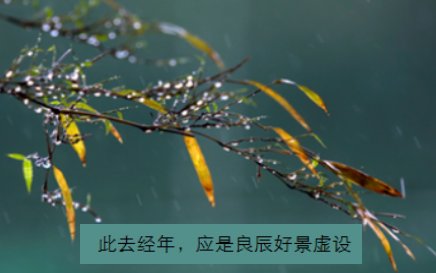 经年啥意思？