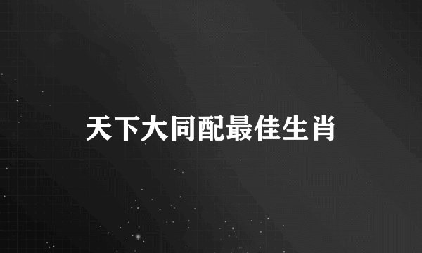 天下大同配最佳生肖