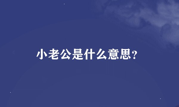 小老公是什么意思？