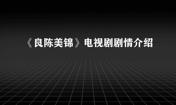 《良陈美锦》电视剧剧情介绍