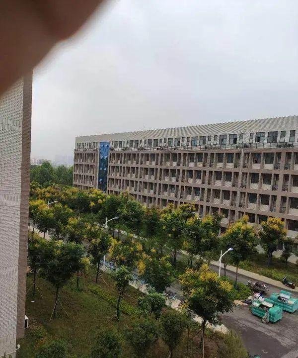网传河南一高校试点“男女混住”引争议!