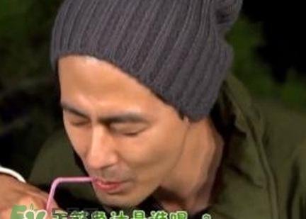 玉筋鱼汁是什么？玉筋鱼汁是什么味道