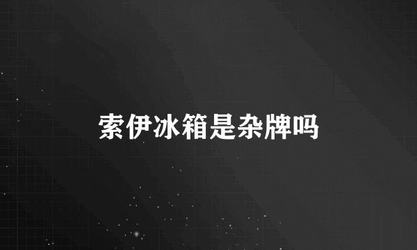 索伊冰箱是杂牌吗