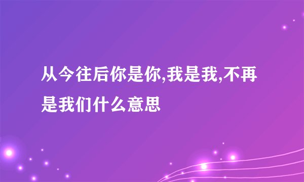 从今往后你是你,我是我,不再是我们什么意思