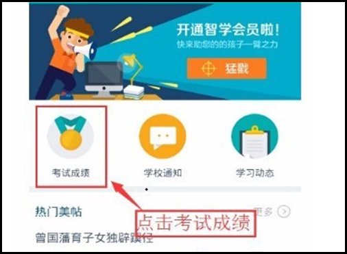 怎么查询初一期末考试成绩单?
