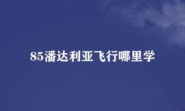 85潘达利亚飞行哪里学