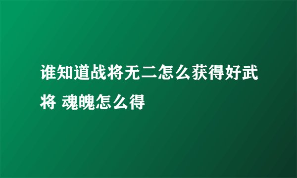 谁知道战将无二怎么获得好武将 魂魄怎么得
