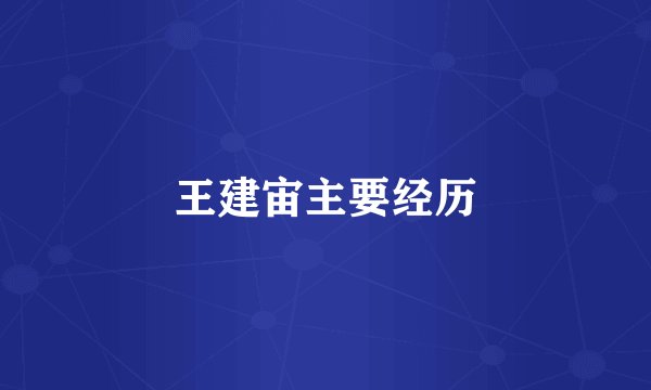 王建宙主要经历