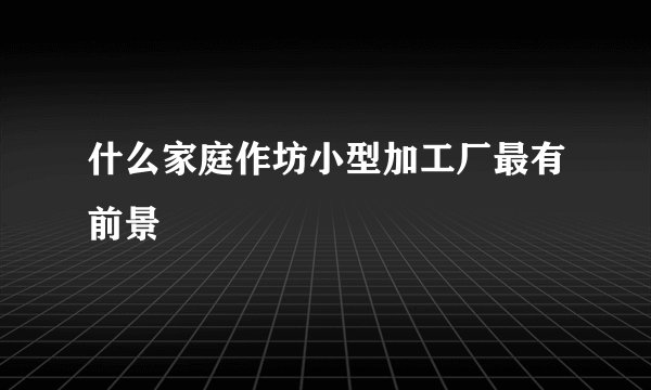 什么家庭作坊小型加工厂最有前景