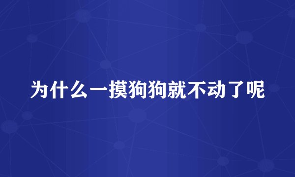 为什么一摸狗狗就不动了呢
