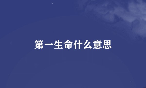 第一生命什么意思