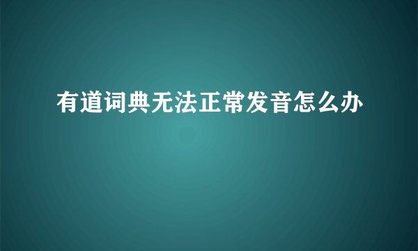 有道词典无法正常发音怎么办