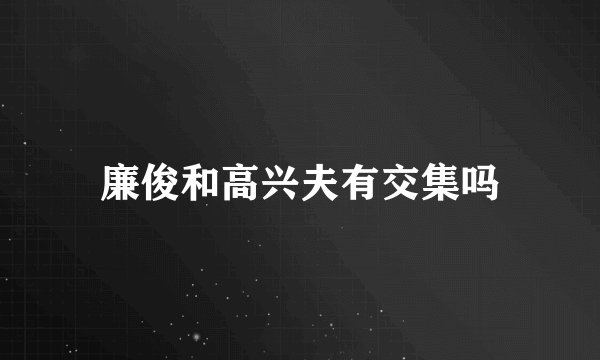 廉俊和高兴夫有交集吗