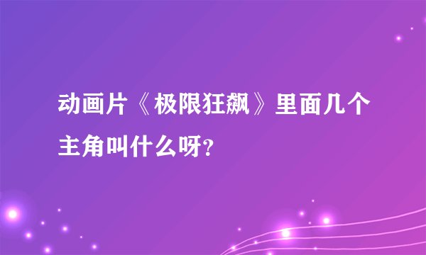 动画片《极限狂飙》里面几个主角叫什么呀？