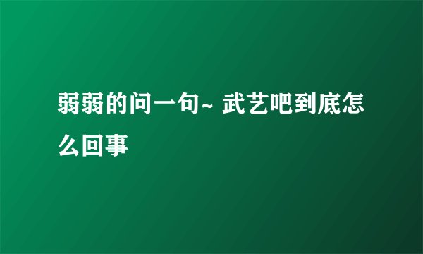 弱弱的问一句~ 武艺吧到底怎么回事