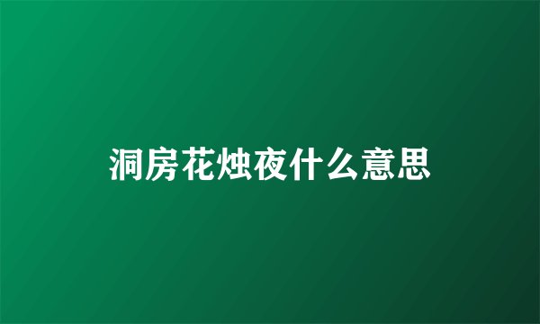 洞房花烛夜什么意思