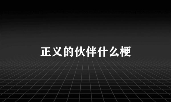 正义的伙伴什么梗