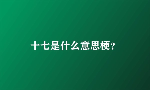 十七是什么意思梗？