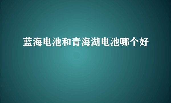 蓝海电池和青海湖电池哪个好