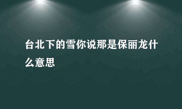 台北下的雪你说那是保丽龙什么意思