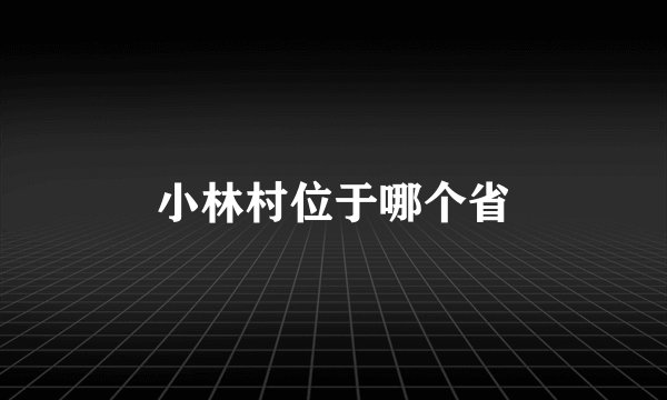 小林村位于哪个省