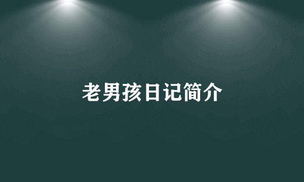 老男孩日记简介