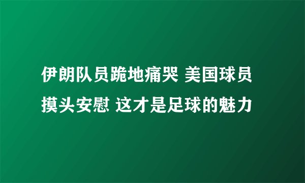 伊朗队员跪地痛哭 美国球员摸头安慰 这才是足球的魅力