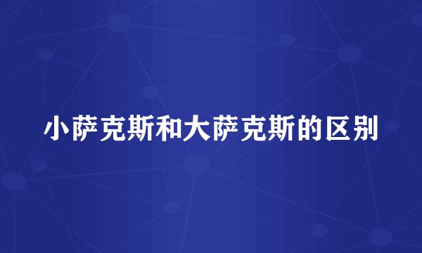 小萨克斯和大萨克斯的区别