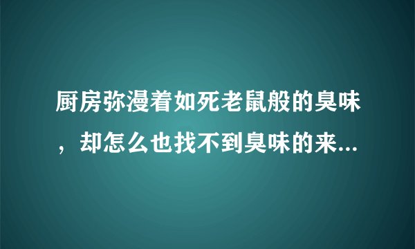厨房弥漫着如死老鼠般的臭味，却怎么也找不到臭味的来源，该怎么处理？